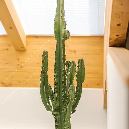 Sonnrain Gmbh Sonnberg 77 Apartamento *